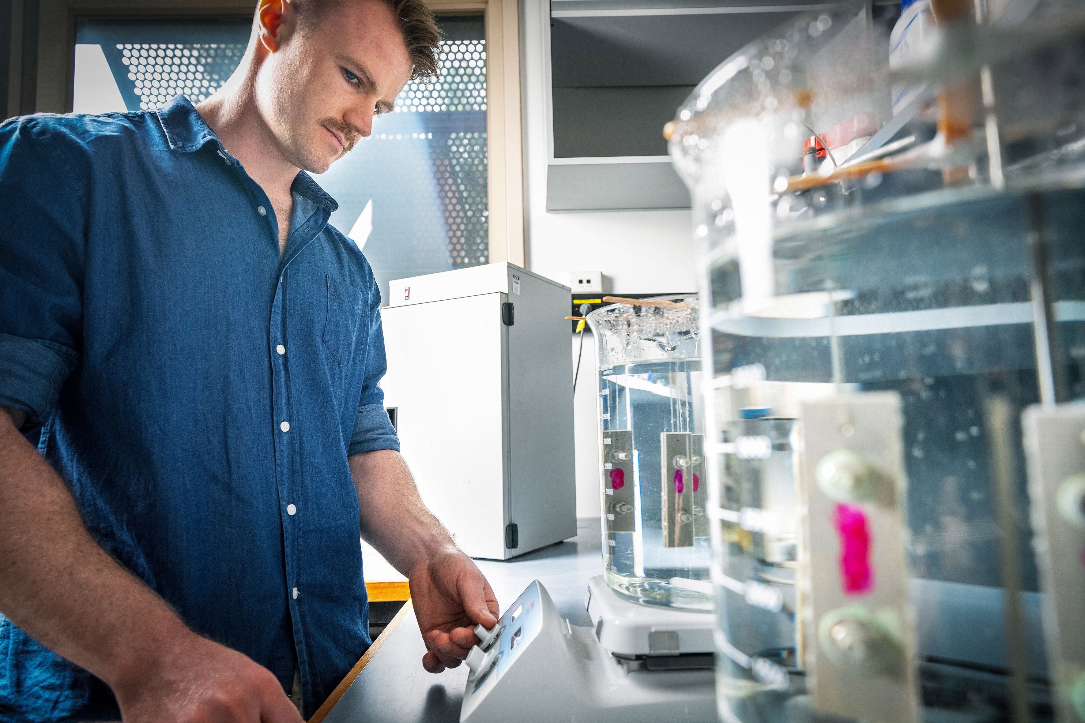 A young scientist working in a lab